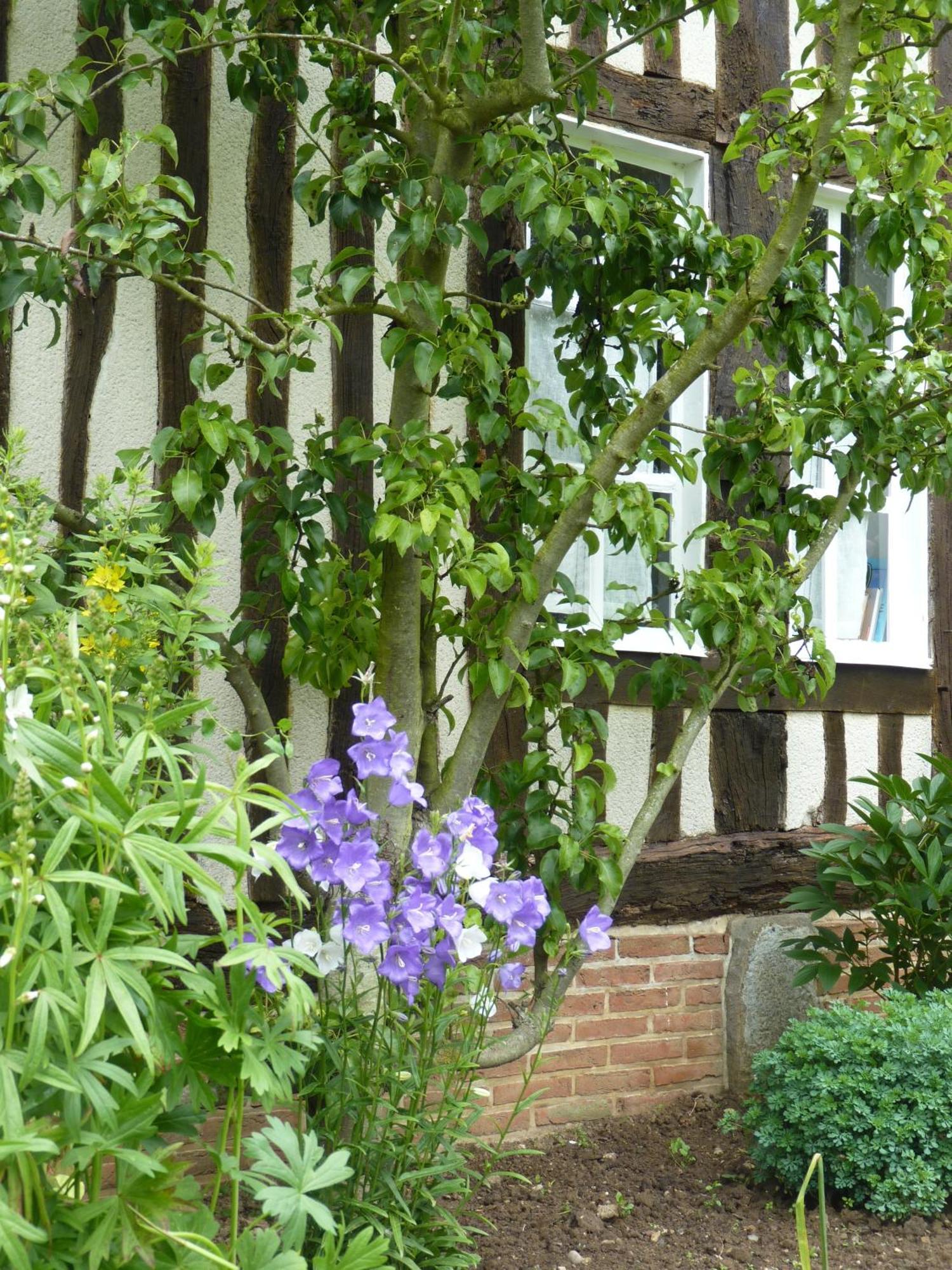 La Charretterie Bed & Breakfast Bacqueville-en-Caux Exterior photo